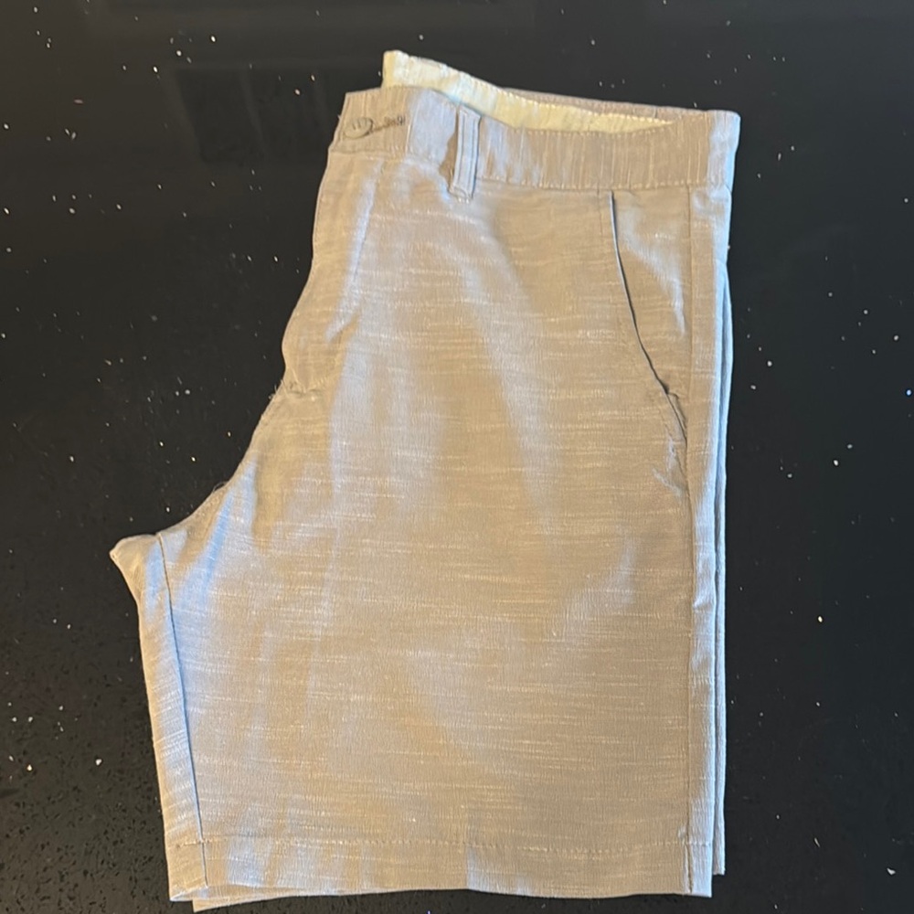 Gray Flat Front Shorts